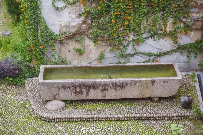 吃蛋燕、拍美照……福州這處千年古鎮(zhèn)，秋天去正好！