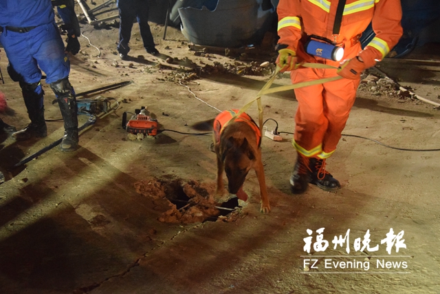 福州消防增援泉州：搜救犬連日奮戰(zhàn) 精準(zhǔn)定位被困者