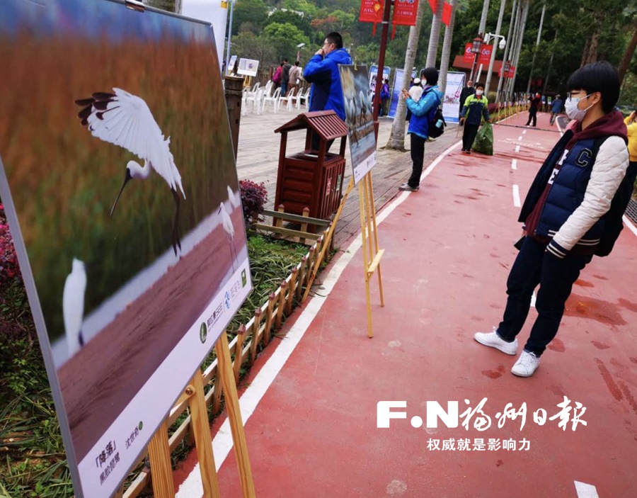 愛鳥周活動在福州國家森林公園舉辦