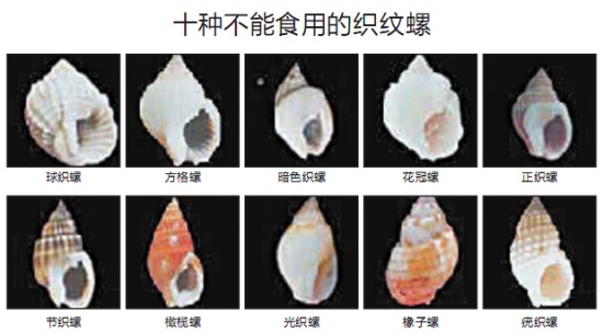 緊急擴散！最近千萬別碰這東西！一顆就可致命！