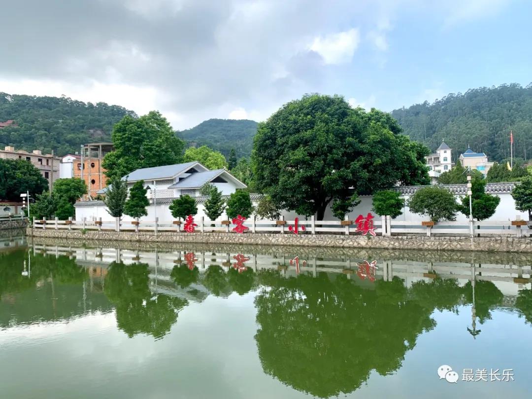 全市實施鄉(xiāng)村振興戰(zhàn)略暨農村建設品質提升工作推進會召開