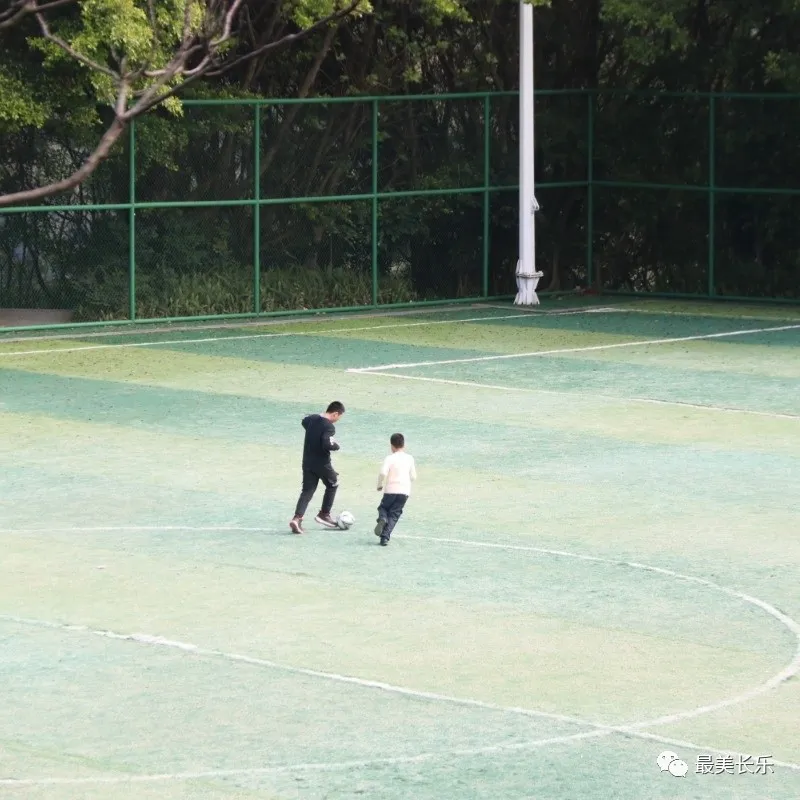 幸福！終于出太陽啦！