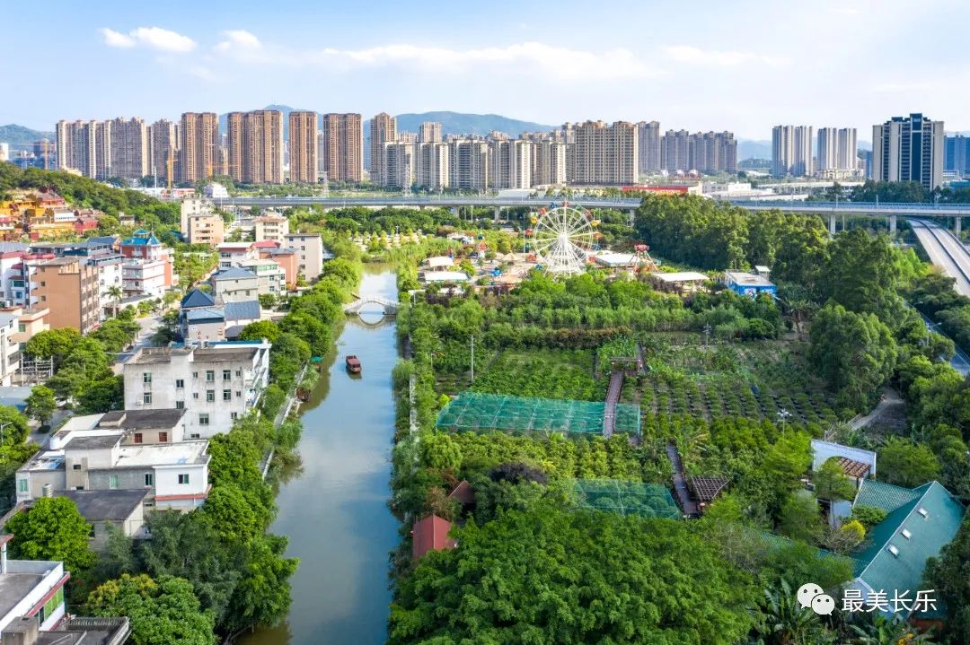 約嗎？5月中旬來這里品嘗樹葡萄！