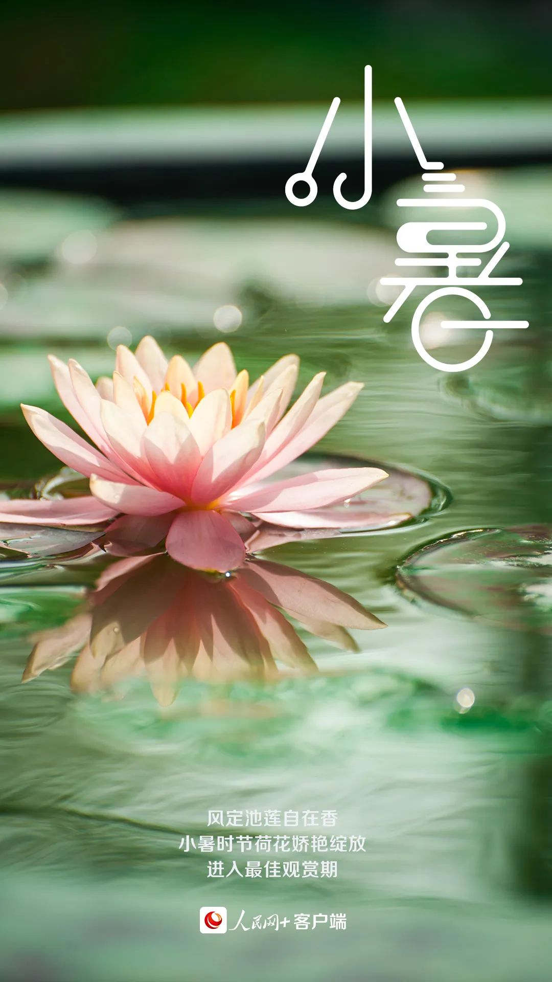 【網(wǎng)絡(luò)中國節(jié)?小暑】今日小暑