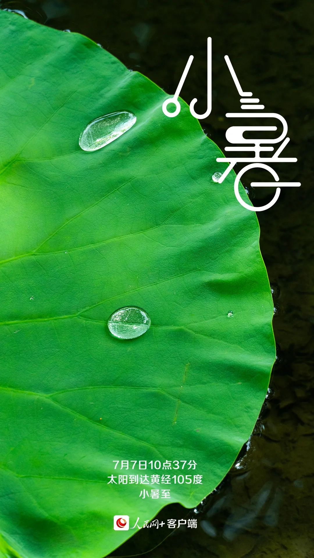 【網(wǎng)絡(luò)中國節(jié)?小暑】今日小暑
