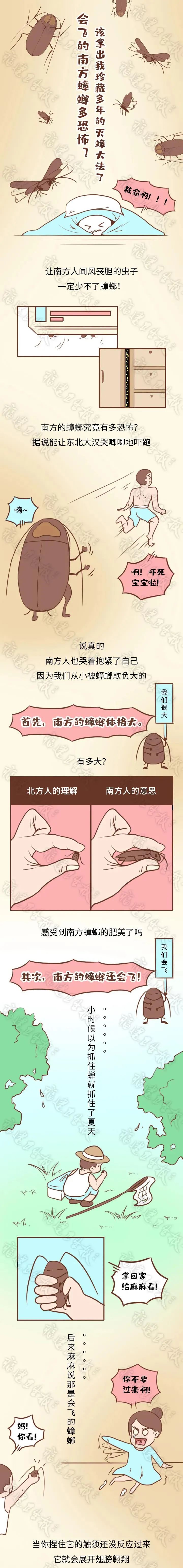 本周五！福州城區(qū)統(tǒng)一行動！
