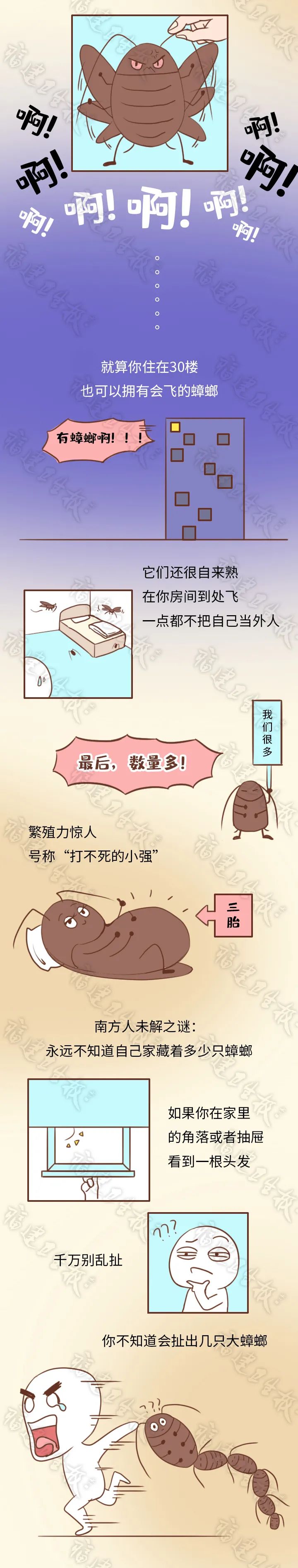 本周五！福州城區(qū)統(tǒng)一行動！