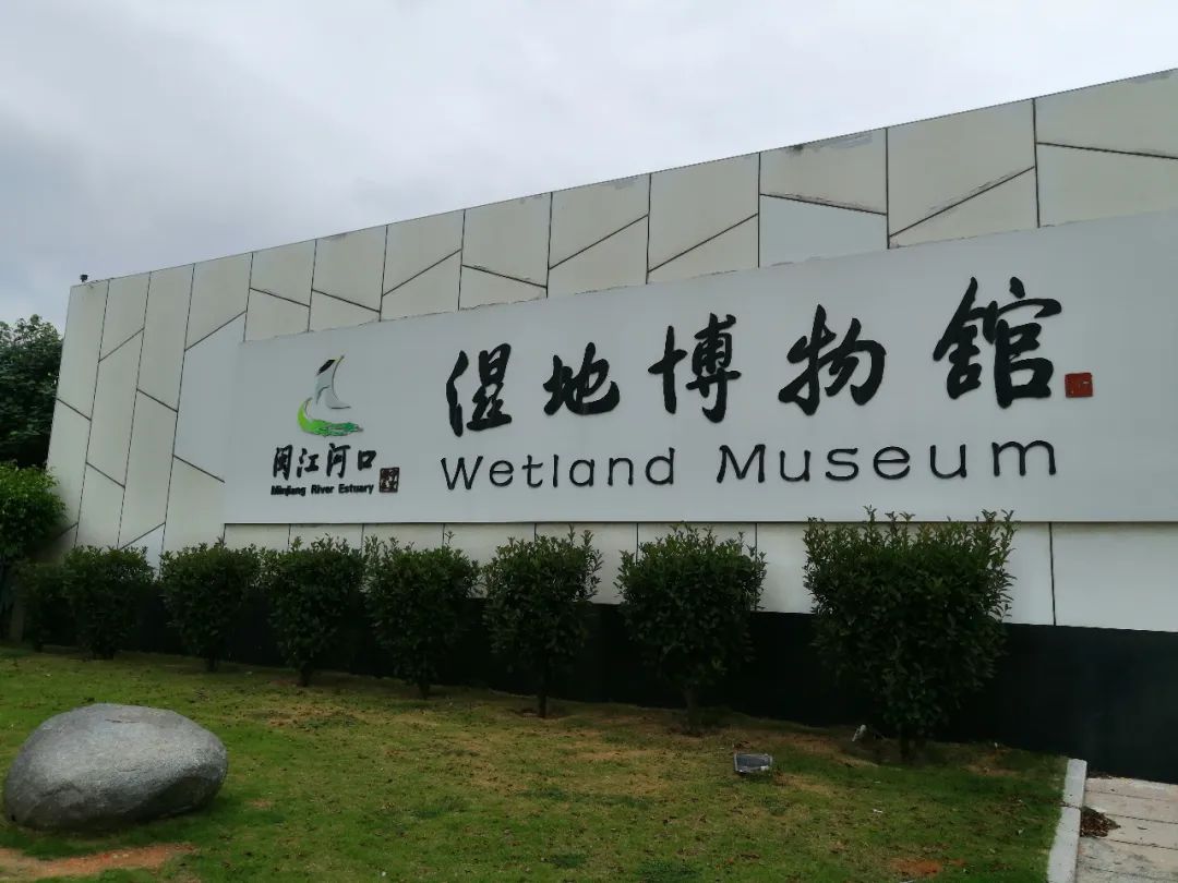 曾被認為滅絕的“神話之鳥”，在福州這里找到了天堂