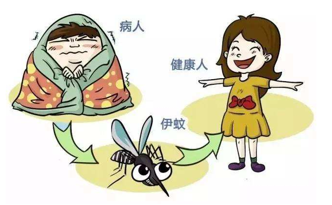 夏季高發(fā)！區(qū)疾控中心緊急提醒！