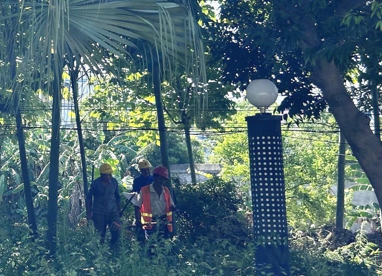 民聲零距離 || 期待！長(zhǎng)樂(lè)這條河道年底“微”改上“新”