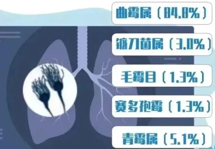 警惕！毒性是砒霜數(shù)十倍！家中十分常見