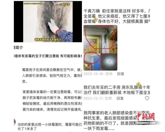 警惕！毒性是砒霜數(shù)十倍！家中十分常見