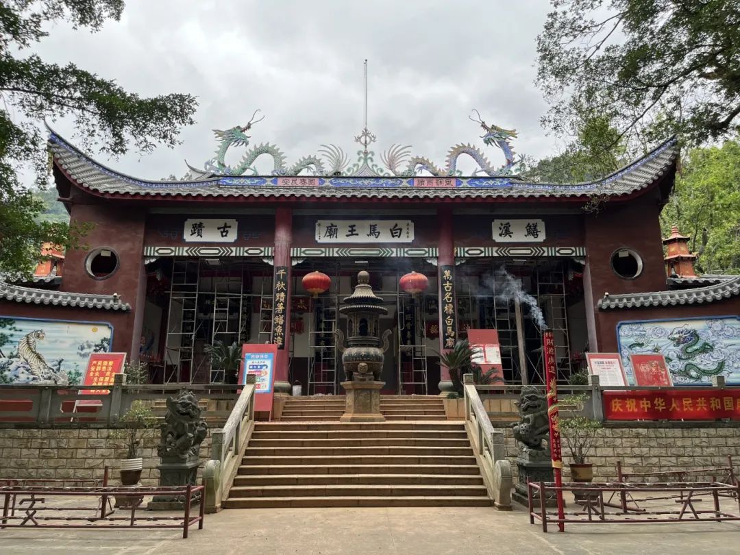 連結(jié)兩岸親緣，這一非遺項目粉絲超1000萬！