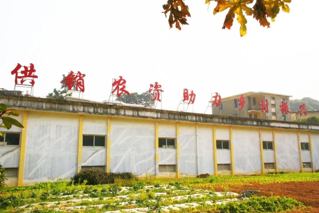 報告！長樂“糧草”已備足
