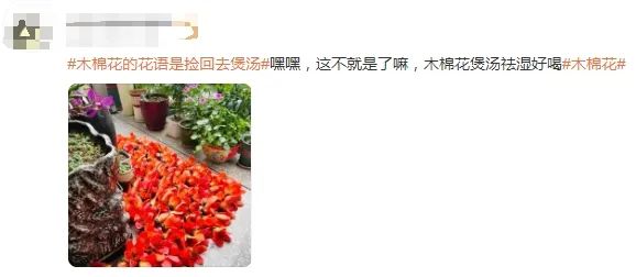不要撿！不要吃！長樂街頭已出現(xiàn)