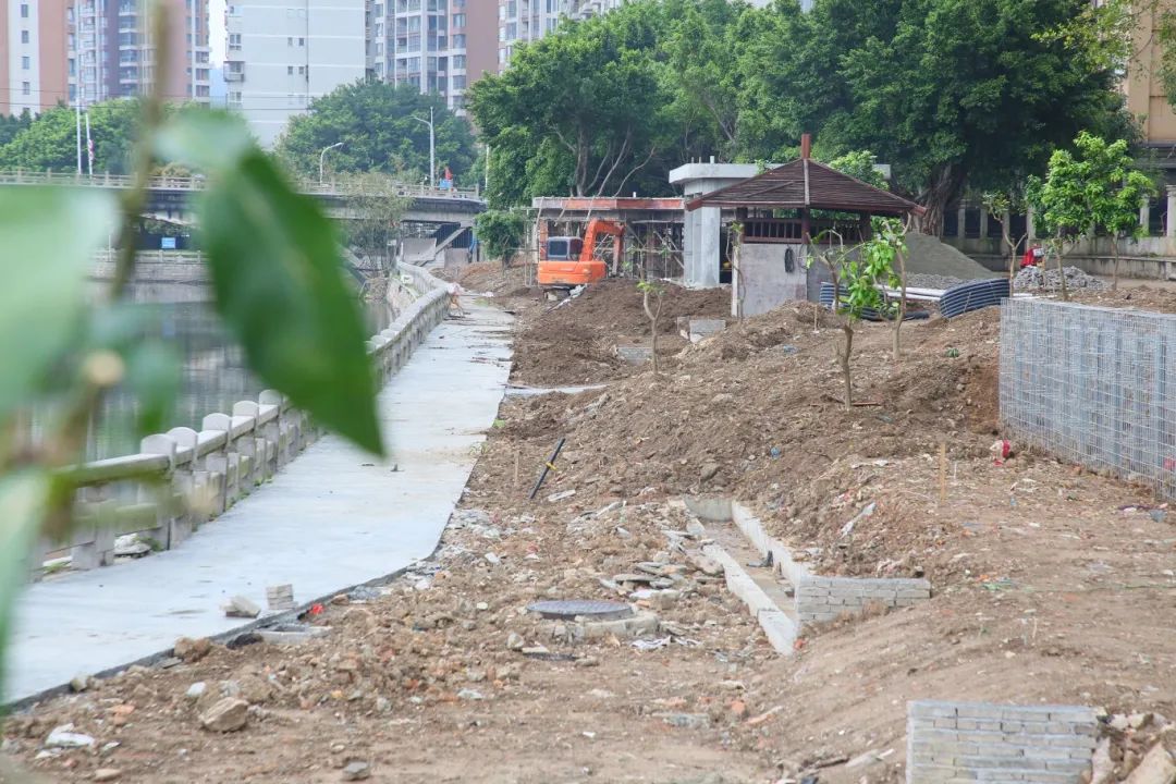 長樂河湖逆襲記：99%滿意度的秘密