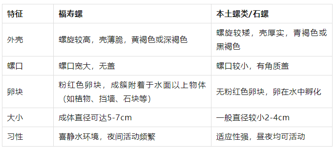 粉色預(yù)警！長(zhǎng)樂(lè)人千萬(wàn)別碰