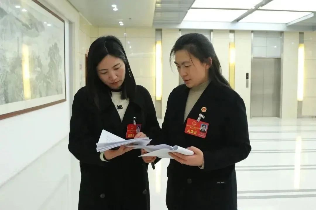 建言獻策談發(fā)展，履職盡責(zé)謀大計：人大代表今日報到