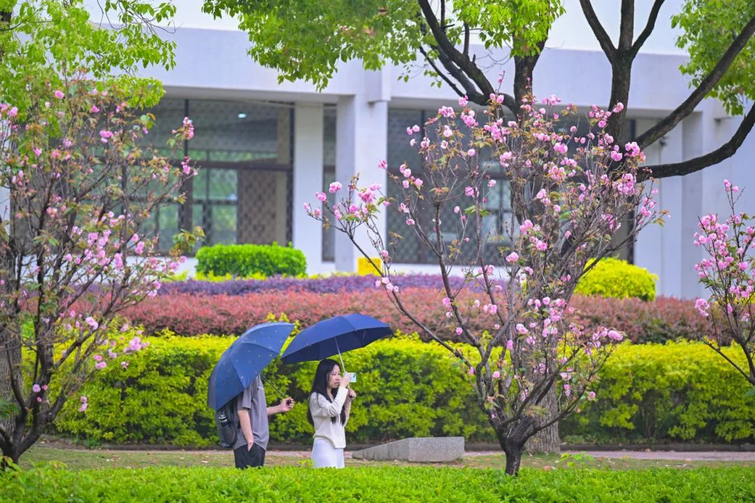 春日限定，“組團出道”！速來圍觀，就在長樂......