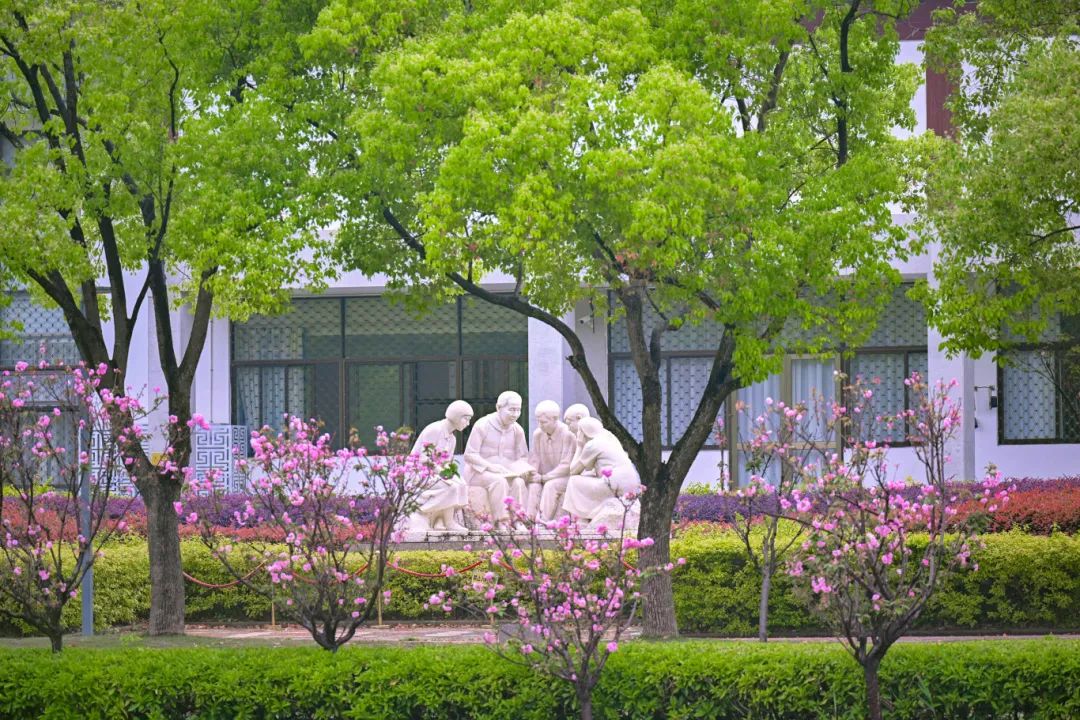 春日限定，“組團出道”！速來圍觀，就在長樂......