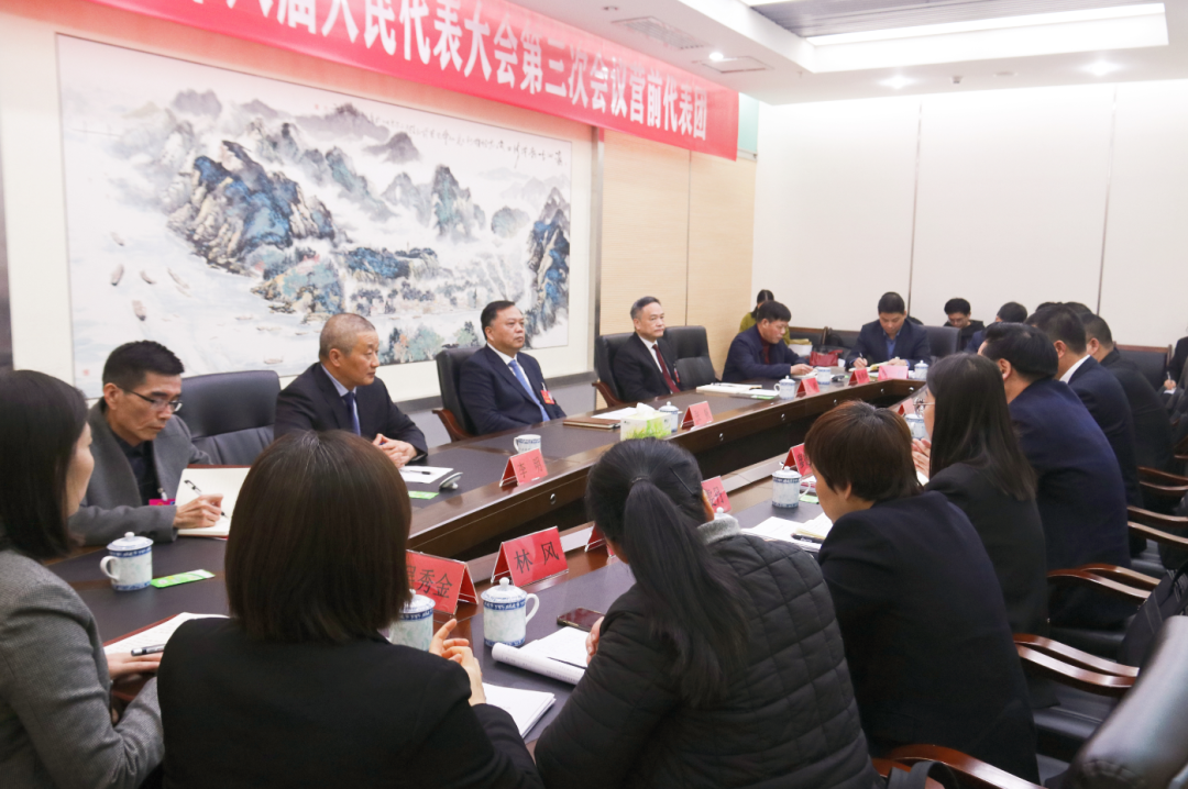 張帆看望江田、營(yíng)前代表團(tuán)人大代表并參加討論