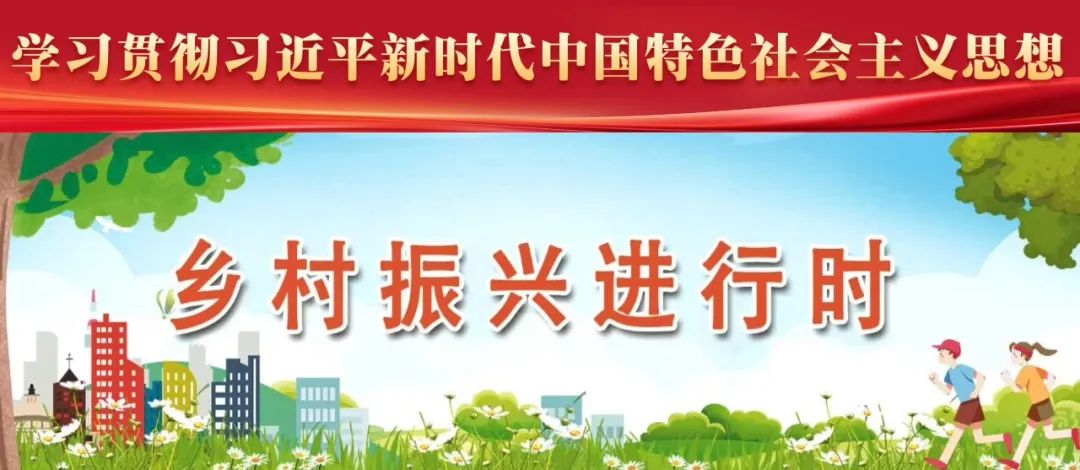 長樂深山藏“活化石茶”！一口喝下60年生態(tài)傳奇！
