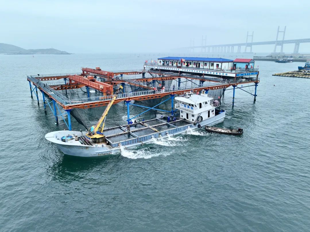 賣到“爆單”！住“深海豪宅”的魚，如此豪橫！
