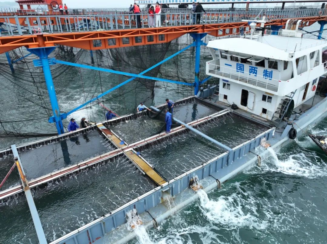 賣到“爆單”！住“深海豪宅”的魚，如此豪橫！