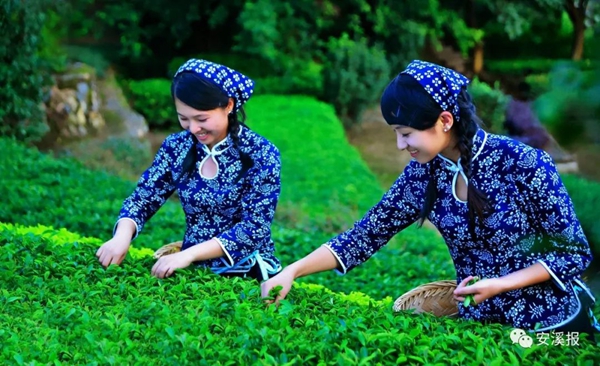 最新公布！福建7地?cái)M獲國(guó)家級(jí)新稱(chēng)號(hào)，祝賀！