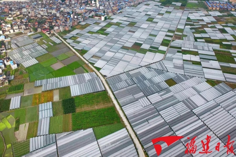祝賀！福建又有三個(gè)縣市上榜這項(xiàng)全國性名單！