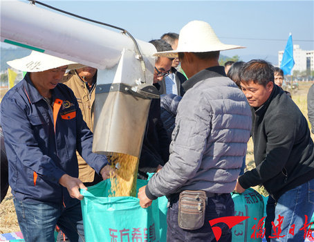 畝產(chǎn)454.63公斤！福建再生稻全程機械化耕種獲高產(chǎn)