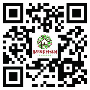 福建啟動(dòng)“春節(jié)回家種棵樹(shù)”活動(dòng) 即日起可報(bào)名參加