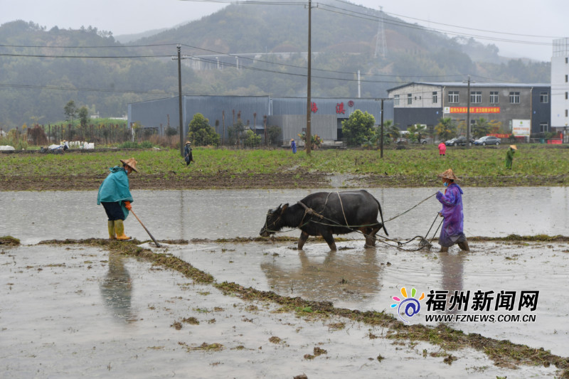 王寧：狠抓春耕生產(chǎn)和脫貧攻堅任務落實