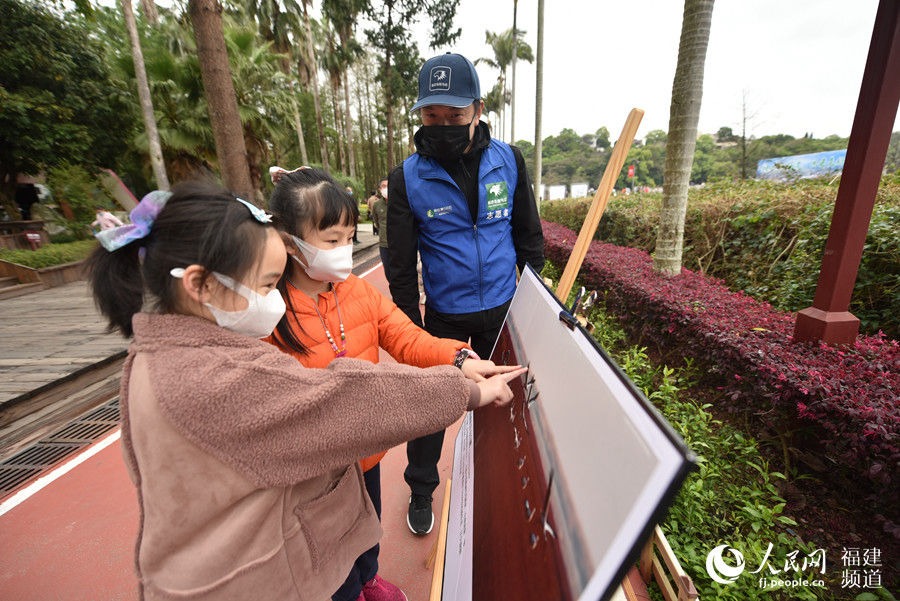 呵護(hù)鳥類 共建美好家園 福建迎來第三十八屆愛鳥周