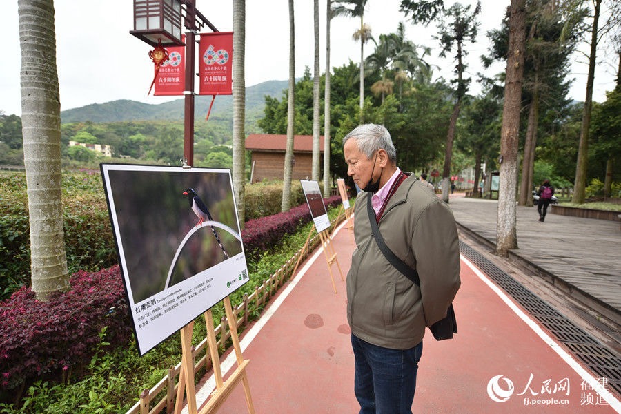 呵護(hù)鳥類 共建美好家園 福建迎來第三十八屆愛鳥周