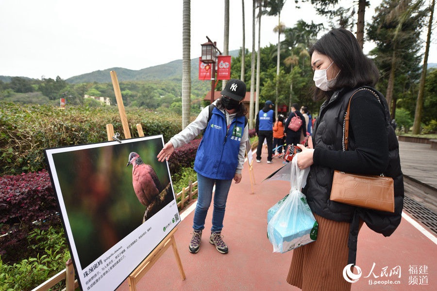 呵護(hù)鳥類 共建美好家園 福建迎來第三十八屆愛鳥周