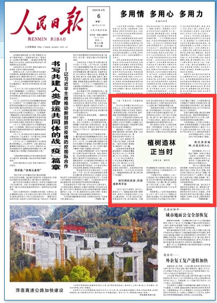 人民日報頭版聚焦：福建等地積極推進植樹造林工作