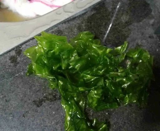 福建這處海邊出現(xiàn)這種“海帶”！千萬別吃！
