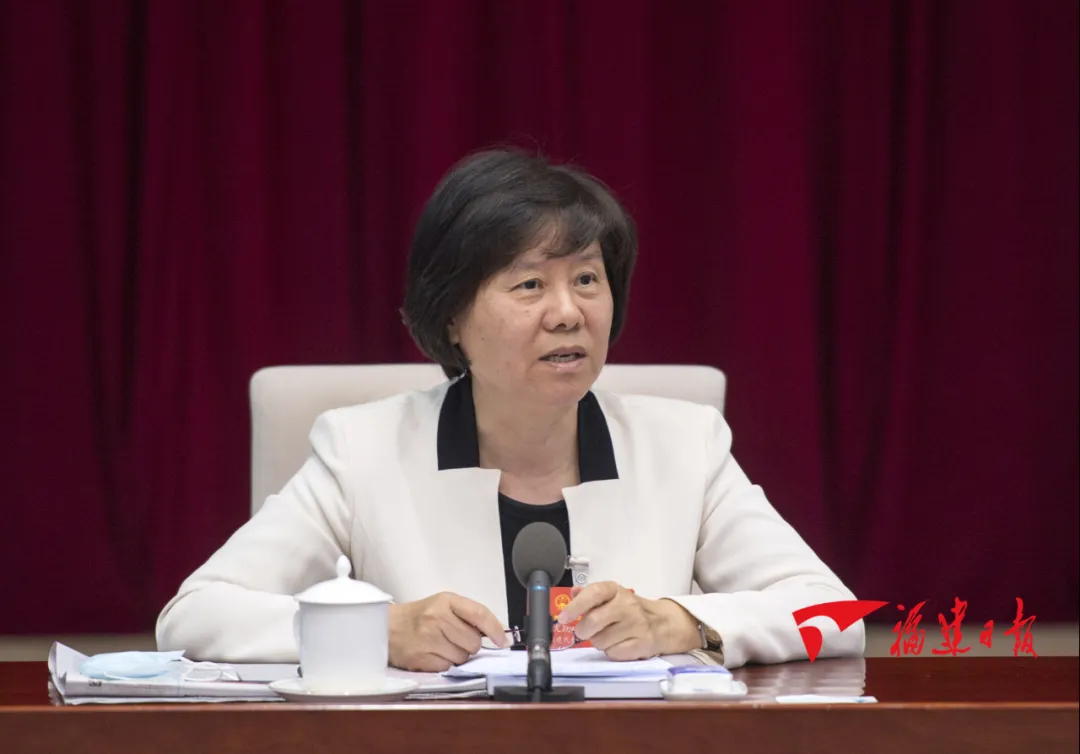 福建代表團(tuán)分組審議民法典草案