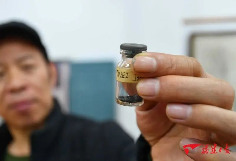 閩越文明：“重瓣花朵”中的一瓣芳華