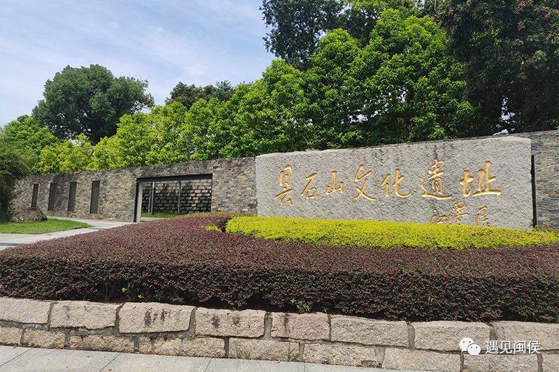 閩越文明：“重瓣花朵”中的一瓣芳華
