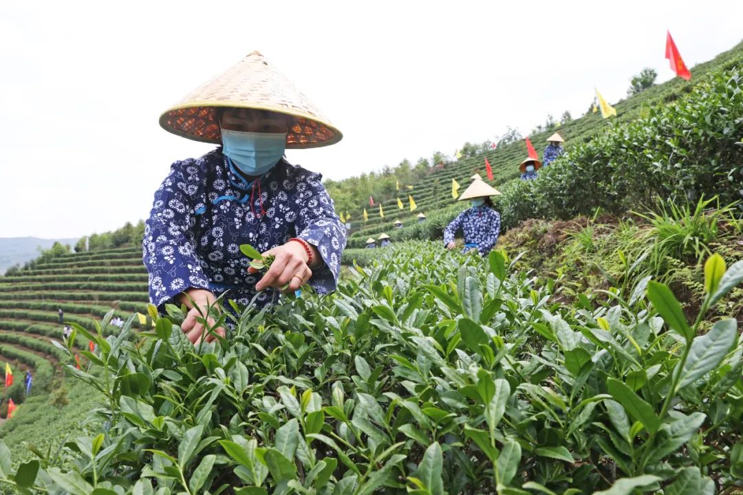 只此青綠，繪就生態(tài)新畫卷
