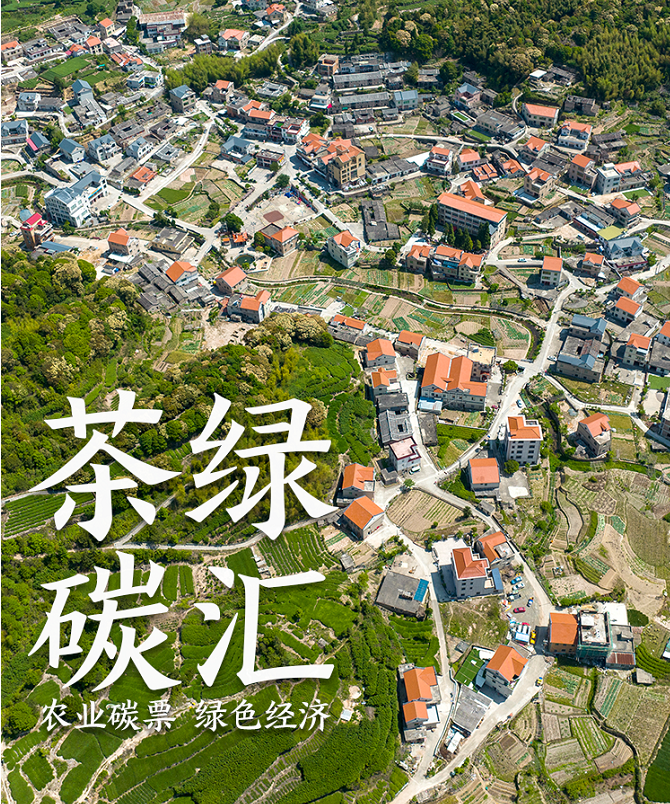 福建人的三張神奇“小票”，都與碳有關