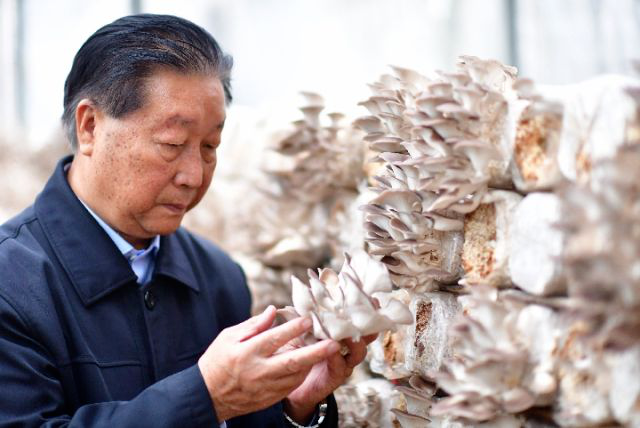 開放不止步 揚帆再起航