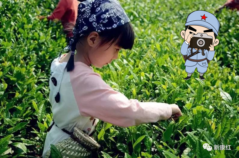央視專題報(bào)道！福建的這個(gè)村子出圈了！
