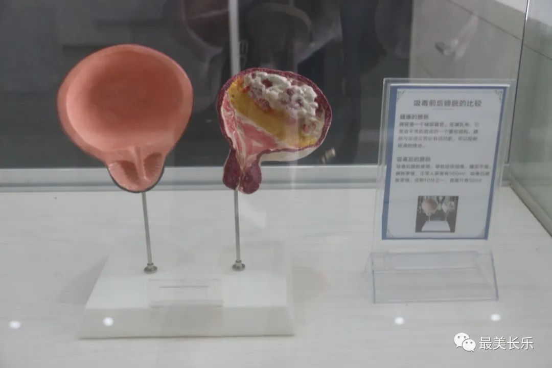 禁毒宣傳進校園，讓我們一起向毒品說“NO”！