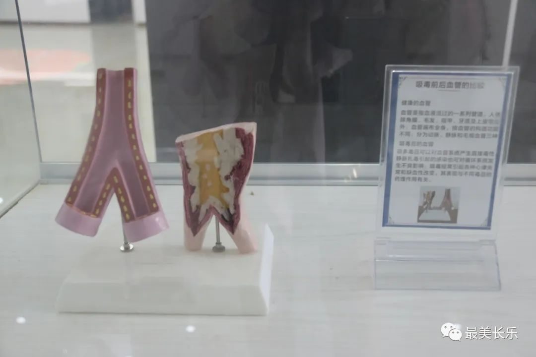 禁毒宣傳進校園，讓我們一起向毒品說“NO”！