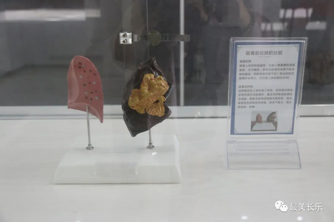 禁毒宣傳進校園，讓我們一起向毒品說“NO”！