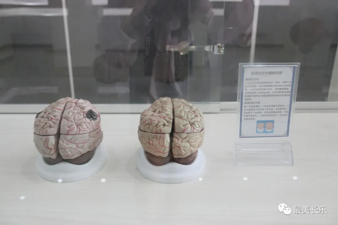 禁毒宣傳進校園，讓我們一起向毒品說“NO”！