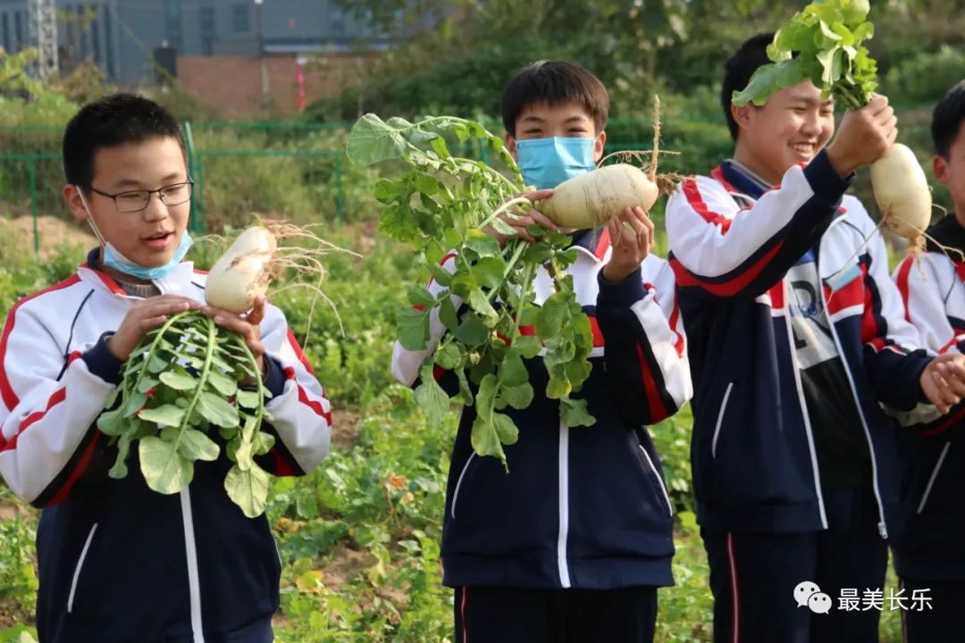 勞動(dòng)實(shí)踐基地“大豐收”，這個(gè)學(xué)校的做法亮了!